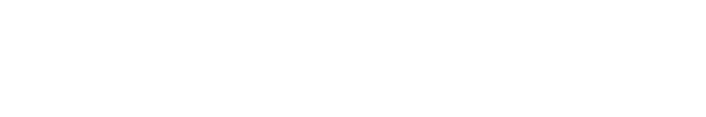 Fetch.ai